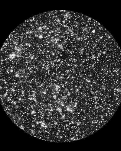 Andrej Perko, iz cikla Mi hočemo živeti